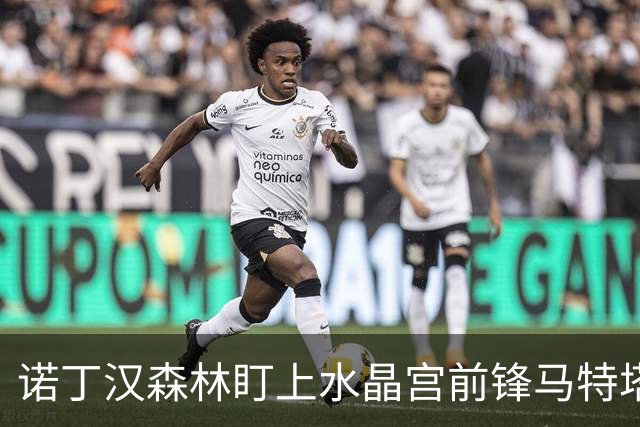 诺丁汉森林盯上水晶宫前锋马特塔，上赛季他进了16个球